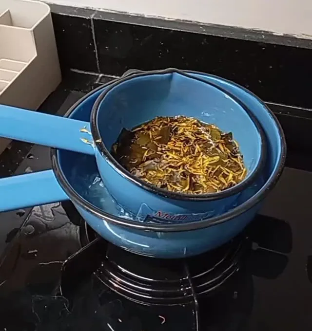 Preparo artesanal com plantas medicinais